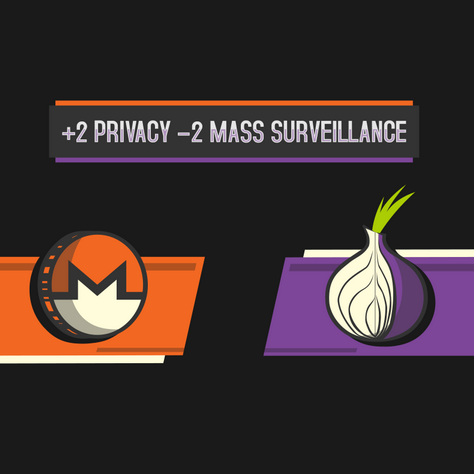 'Plus 2 privacy minus 2 mass surveillance' illustration
