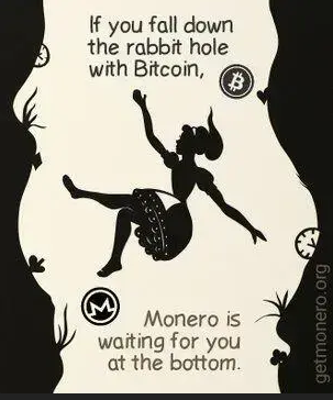 'Down the Bitcoin rabbit hole' illustration