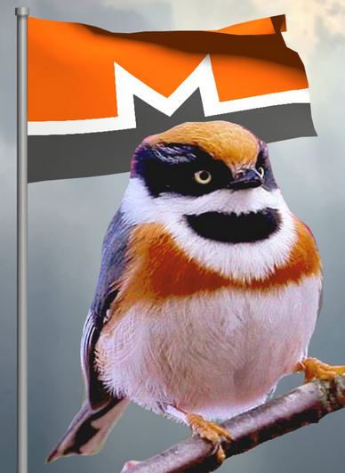 'Monero bird' meme