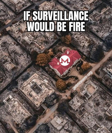 'If surveillance would be fire' image