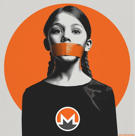 'Monero is the only solution' illustration